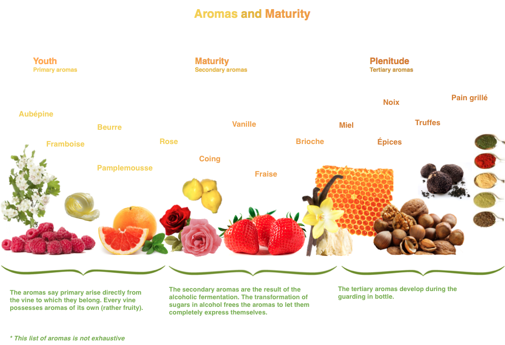 L'évolution des arômes des champagnes