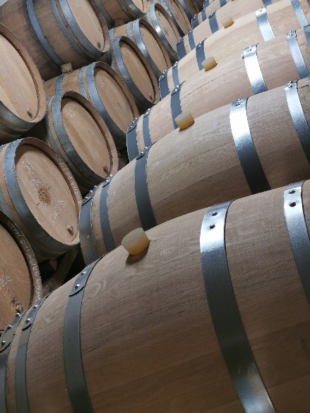 Vin de base millésime 2019 en fûts de chêne