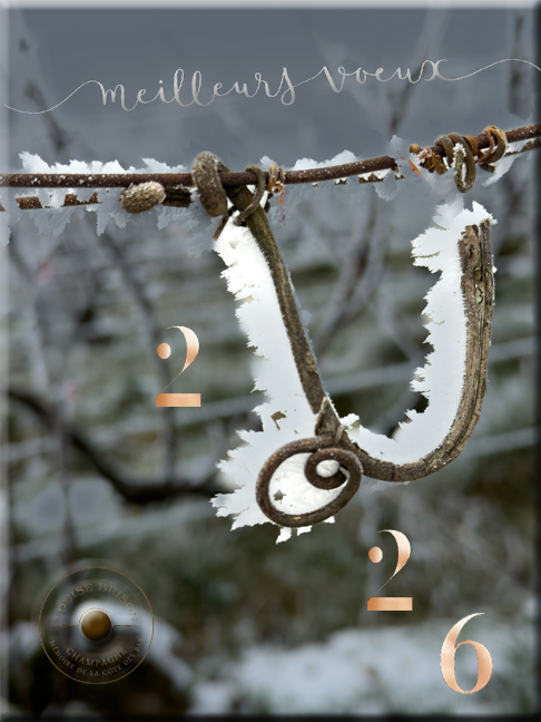 meilleurs-voeux-2026-champagne-louise-brison-viticulture-biologique