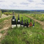 Photo de Famille Champagne millésimé Louise Brison